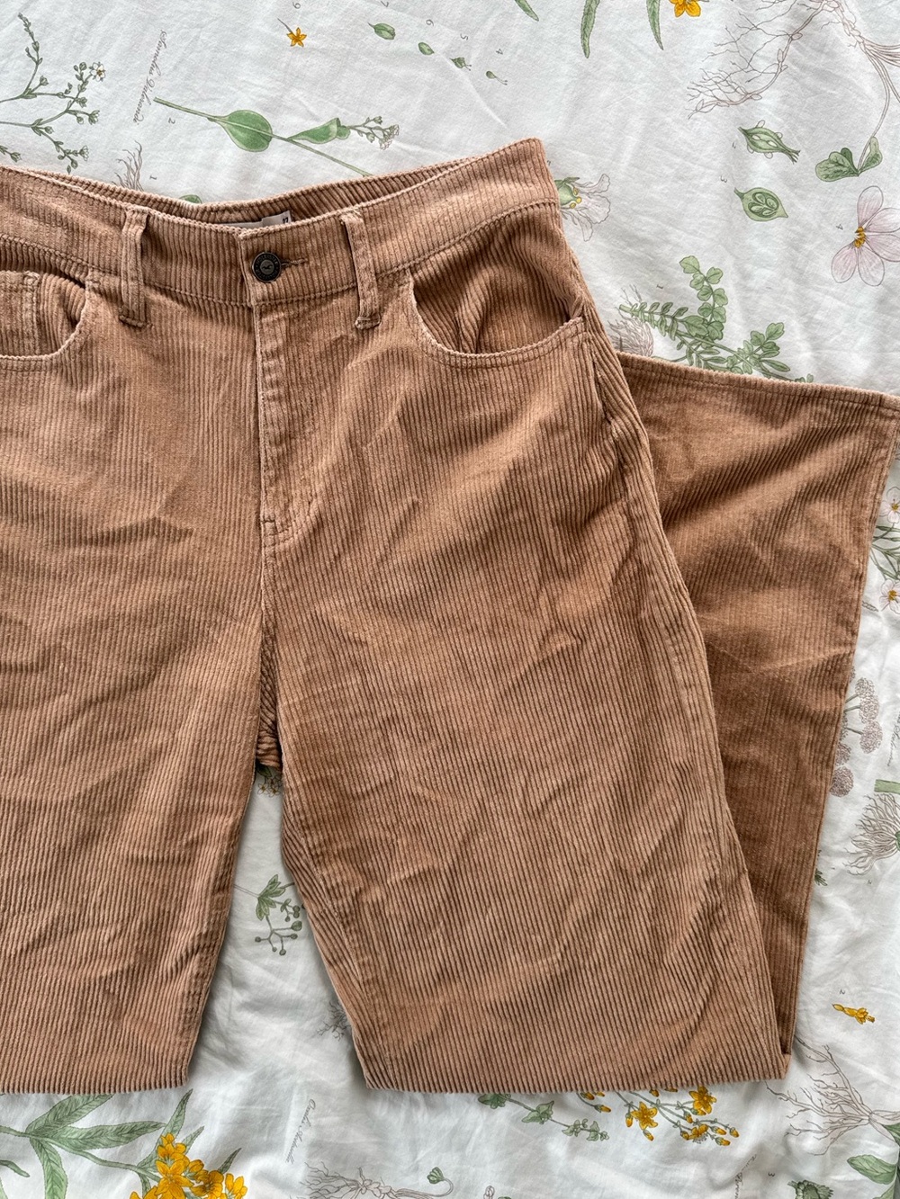 Hollister Corduroy Pants